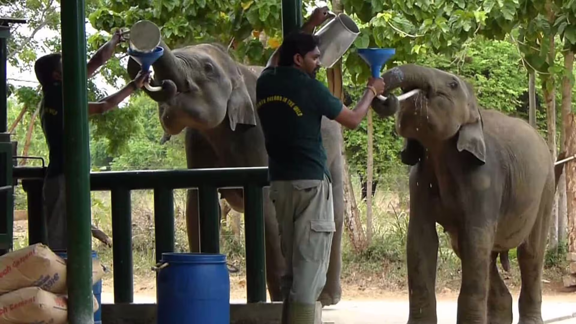 Elephant Transit Home Rehabilitation Facility